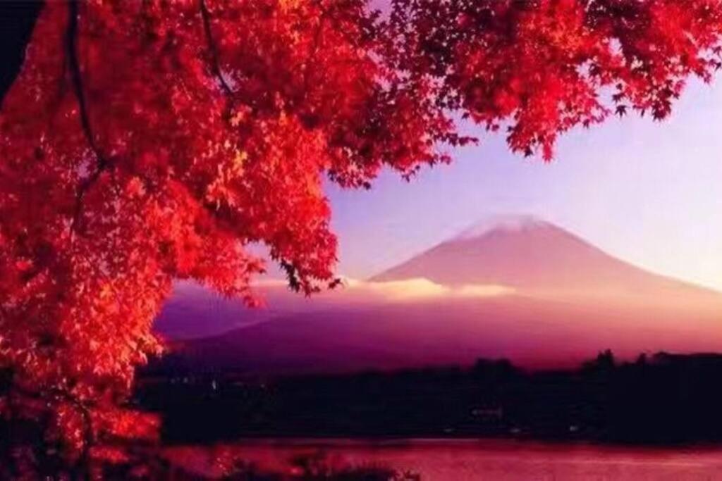 Away From Noise,View Fuji Mt In The Designer House Villa Yamanakako Buitenkant foto